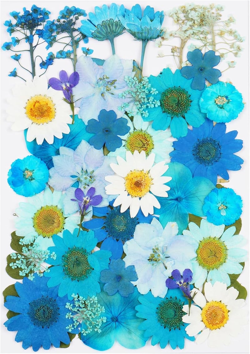Xinxinran 40Pcs Blue Dried Pressed Flowers for Crafts, Dry Flowers Kit for Resin Molds,Epoxy Resin Accessories,Bookmark,Nails, Jewelry Molds,Candle Making Supplies,Soap,Frame,Cakes - Image 1